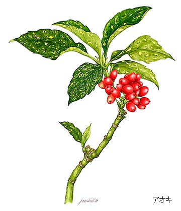 AIL