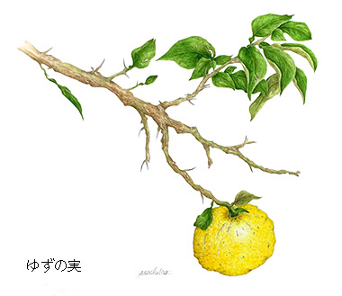 䂸̎